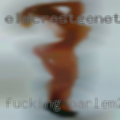 Fucking Harlem